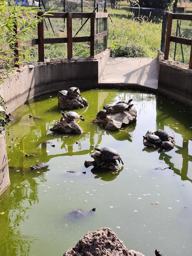 Fabio 46_Ristorante Hostaria Germoglio_Verdellino_review