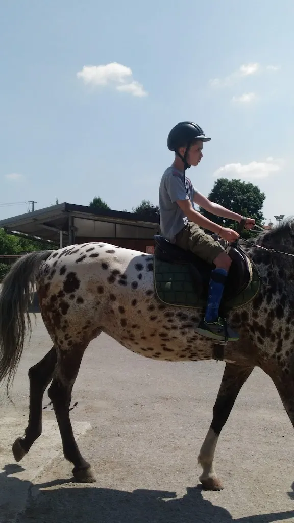 Mariateresa Giudici_Cascina Germoglio - Fondazione Emilia Bosis_Verdello_review
