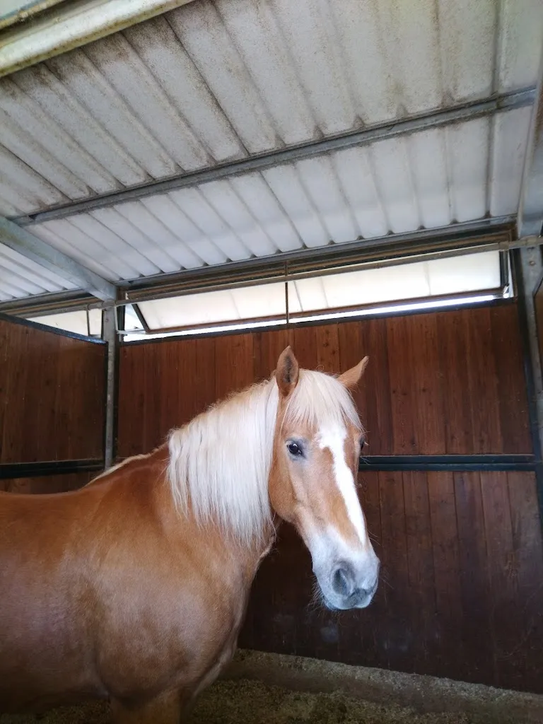 Cascina Germoglio - Fondazione Emilia Bosis_Verdello_slider_image_2