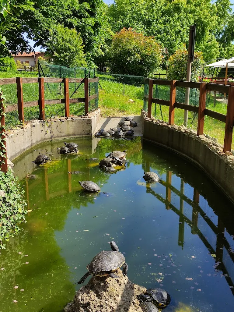 Cascina Germoglio - Fondazione Emilia Bosis_Verdello_slider_image_3