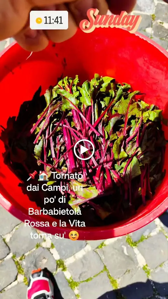 Ristorante L' Elisir del Poeta_Carapelle Calvisio_slider_image_2