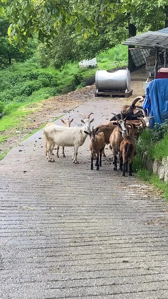 Agriturismo Cascina Didi_Vigolo_slider_image_2