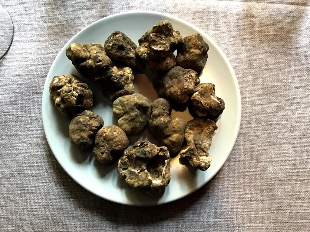 Osteria Il Canarino_Vignola_slider_image_2