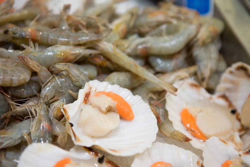 Casa del Pesce_Vignola_slider_image_3