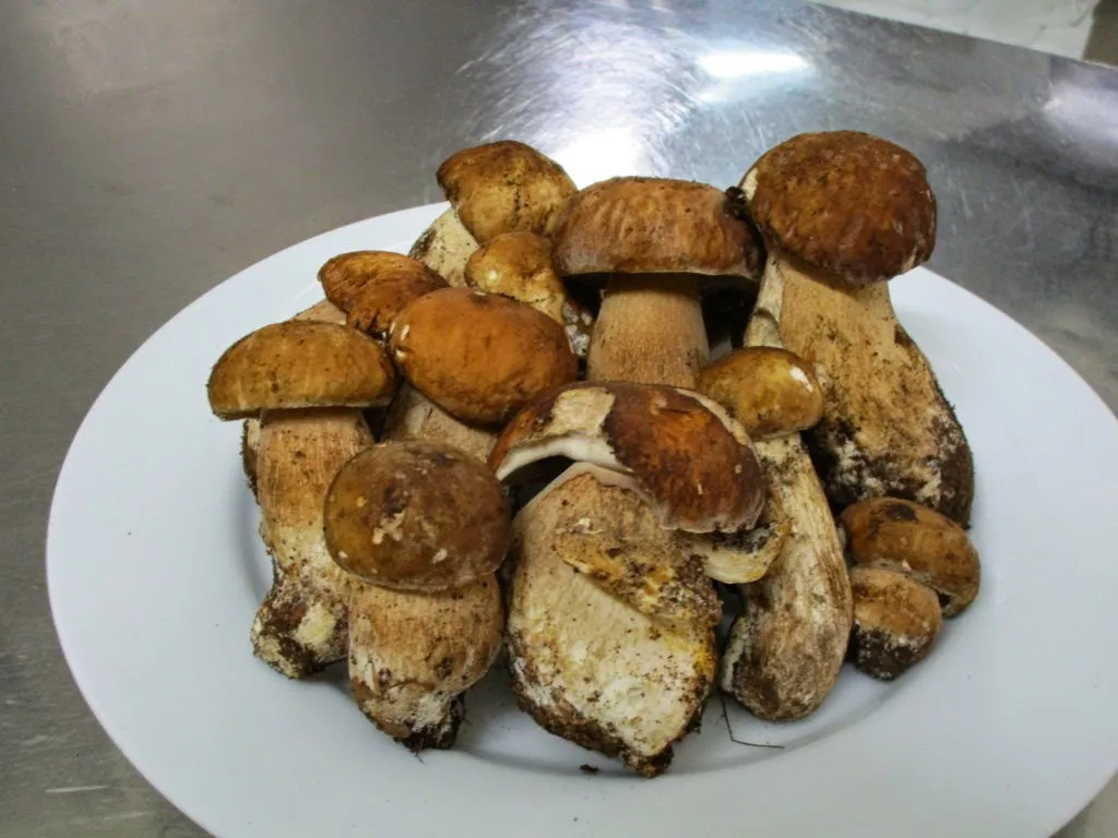 Ristorante hotel pizzeria O' Carpino_Carpino_slider_image_3