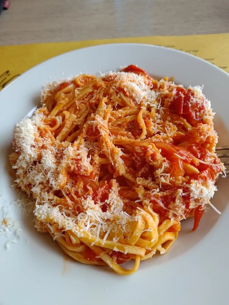 Septimiu Vonica_Ristoro Andirivieni_Villanova d'Ardenghi_review