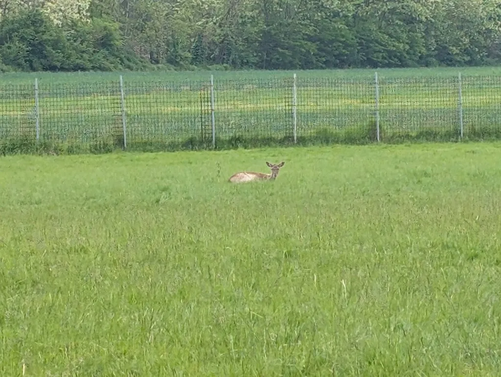 Giuseppe Latronico_Ristorante Tenuta Valminier_Villanova d'Ardenghi_review