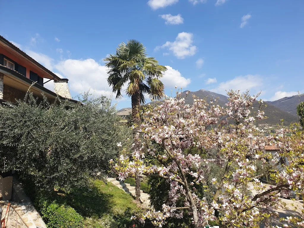 BUMBLE BEE_Azienda Agricola Agrituristica I Videtti Di Vicini Mirko_Villongo_review