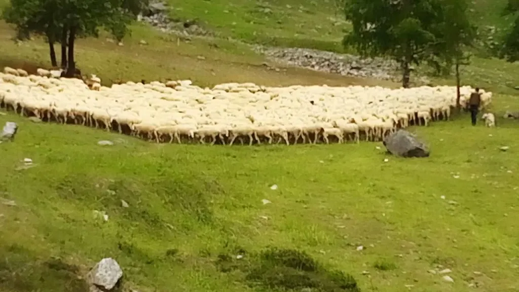 Bar Gleno al Tuf_Vilminore di Scalve_slider_image_2