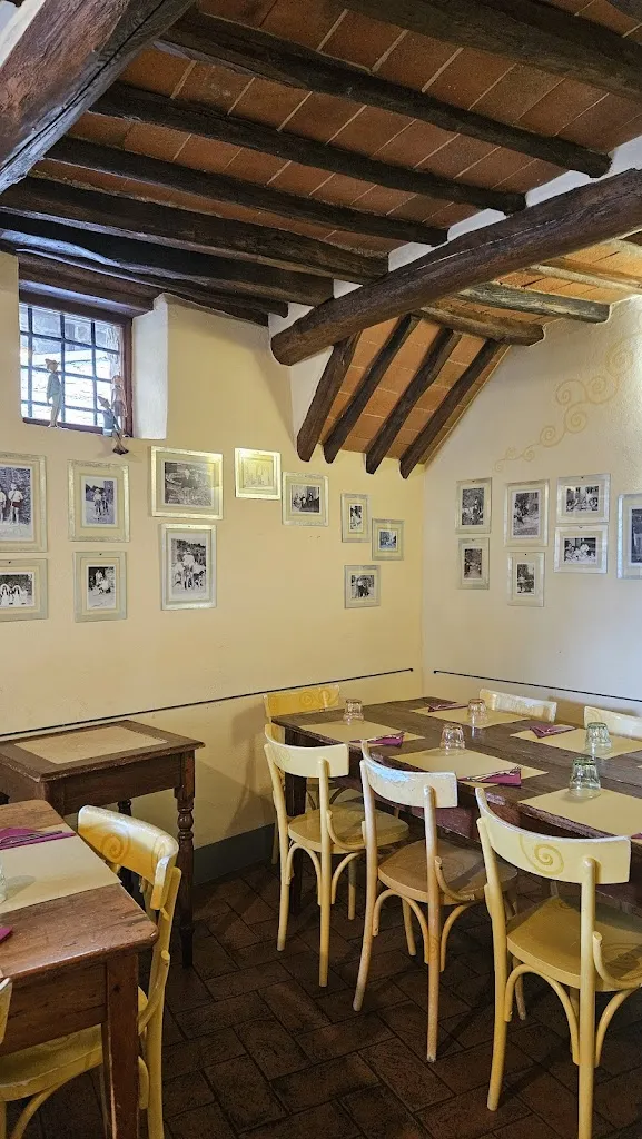 Bar-Ucci_Volpara_slider_image_3