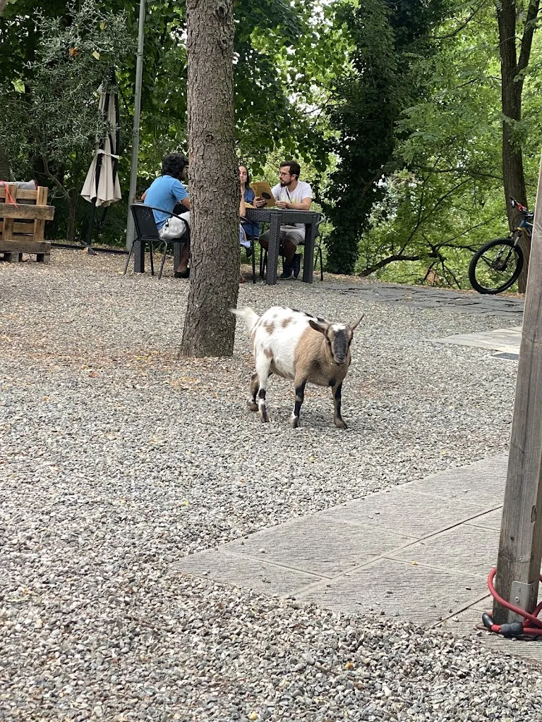 Ergys M3_Il Barino del Castello -Edizione 2024_Zavattarello_review