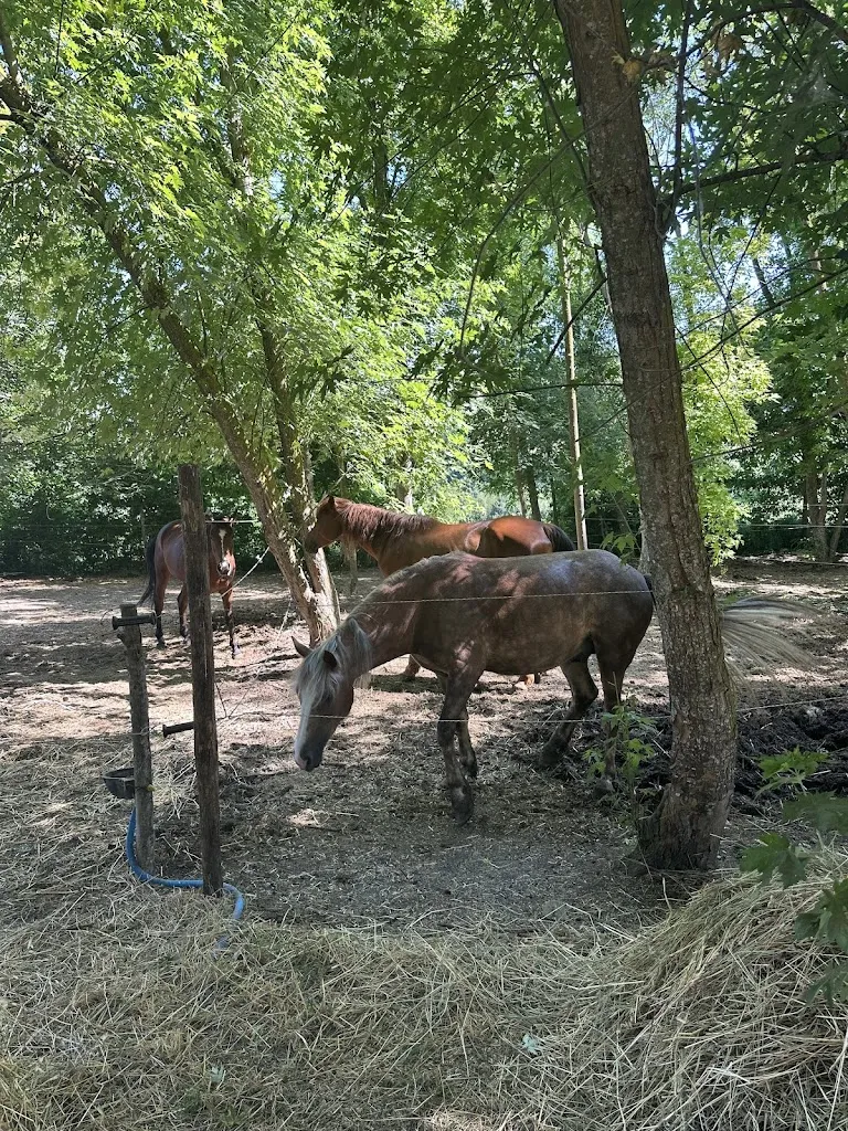 Aleksei Skorodumov_Farmhouse La Valle_Zavattarello_review