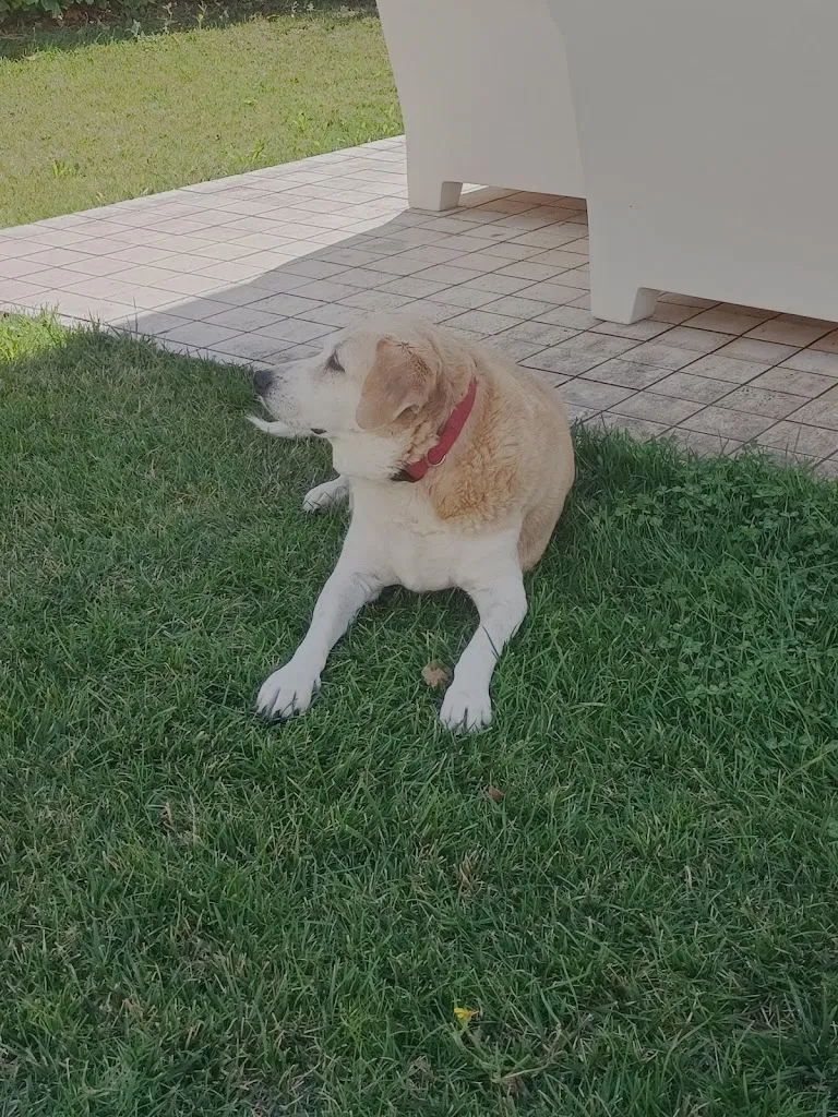 F M _Tre Lanterne_Acquasanta Terme_review