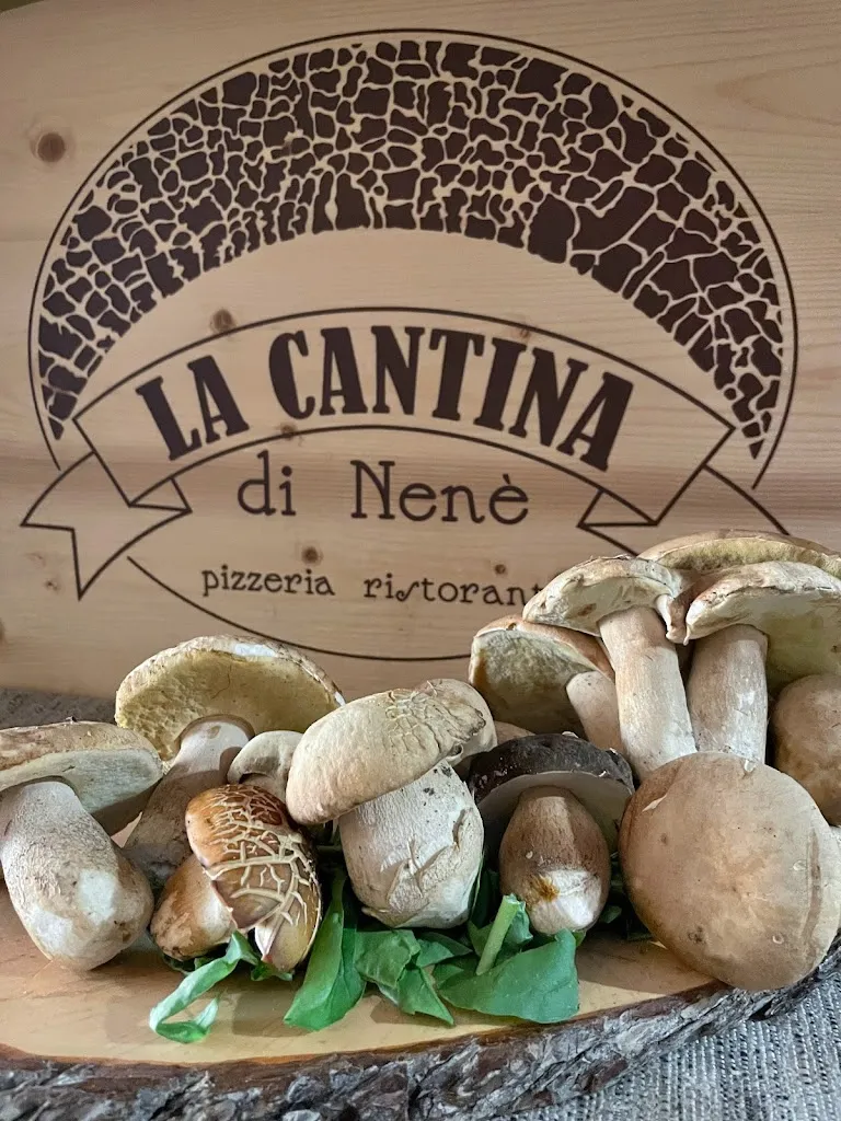 La Cantina di Nenè_Acquasanta Terme_slider_image_3