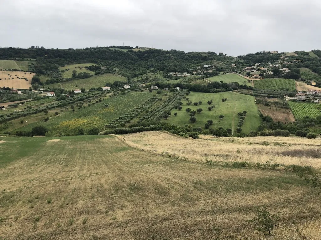 ‫ولد الحاج (‪CarTalk‬)‬_Hotel Ristorante Il Grillo_Acquaviva Picena_review