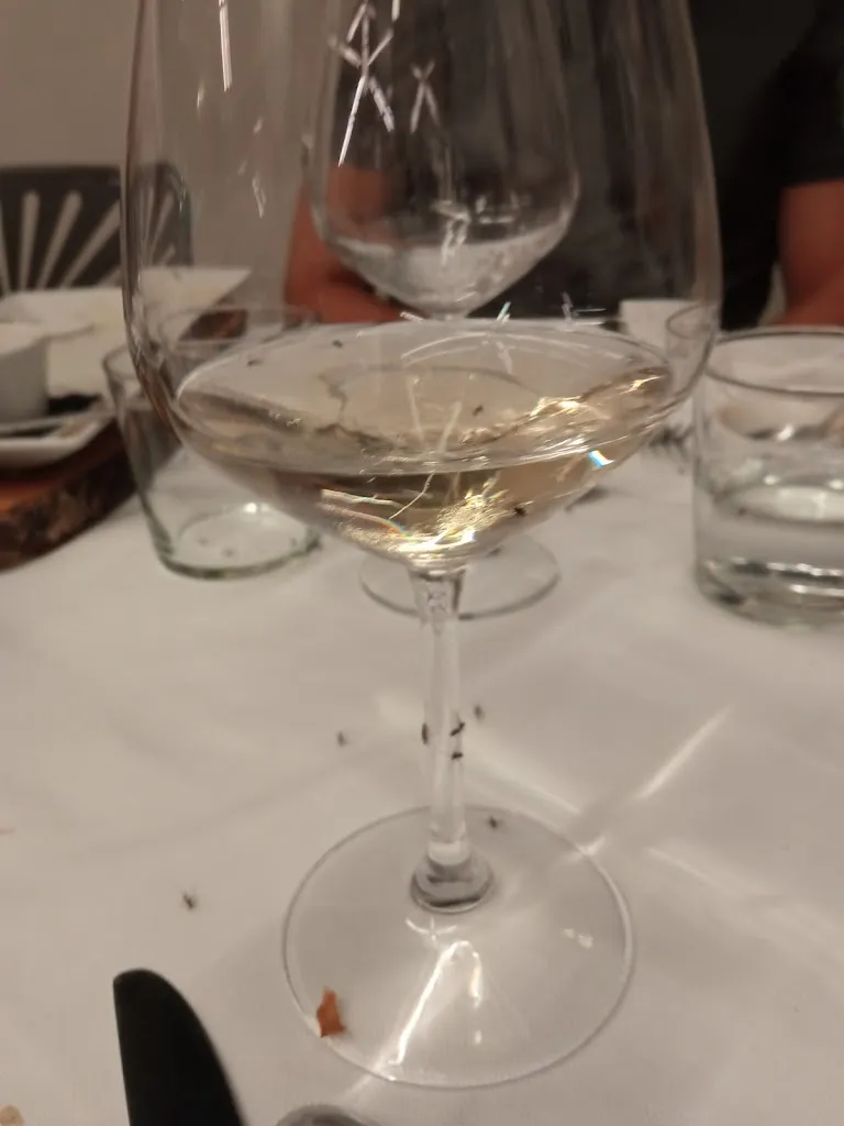 Lenard Kone_Braceria Plinc_Acqualagna_recensione