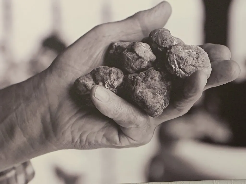 Katia Ciampelli_Lampino_Acqualagna_review