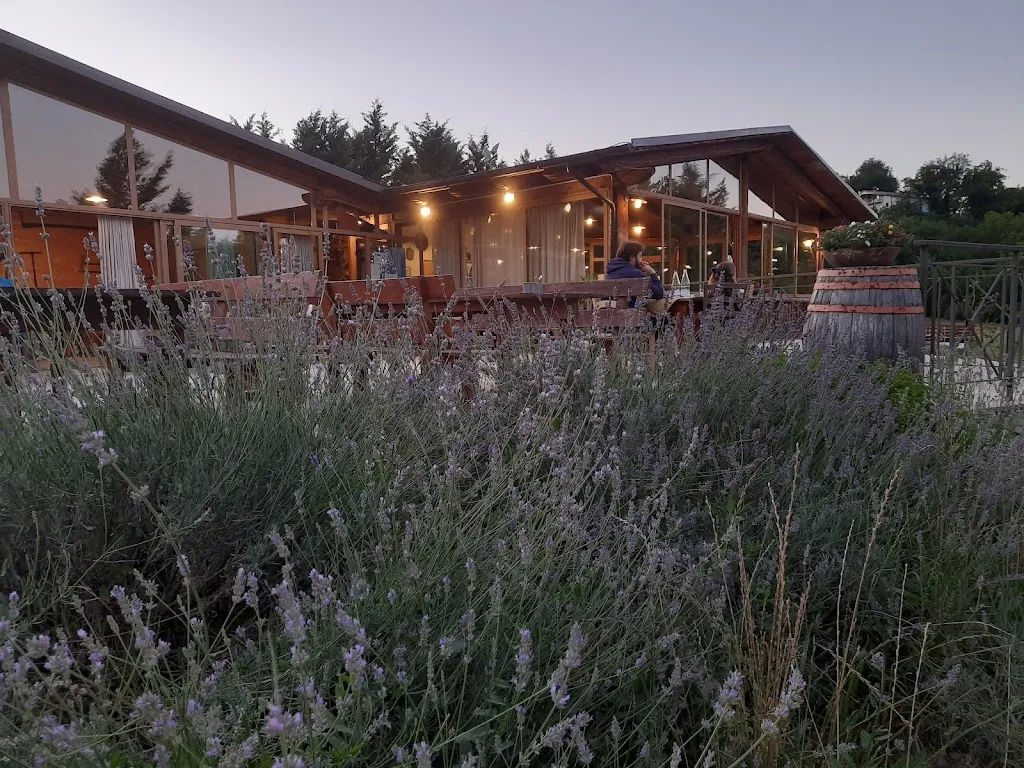 Anna Zarzyczny_La Fattoria Da Celestino_Acqualagna_review