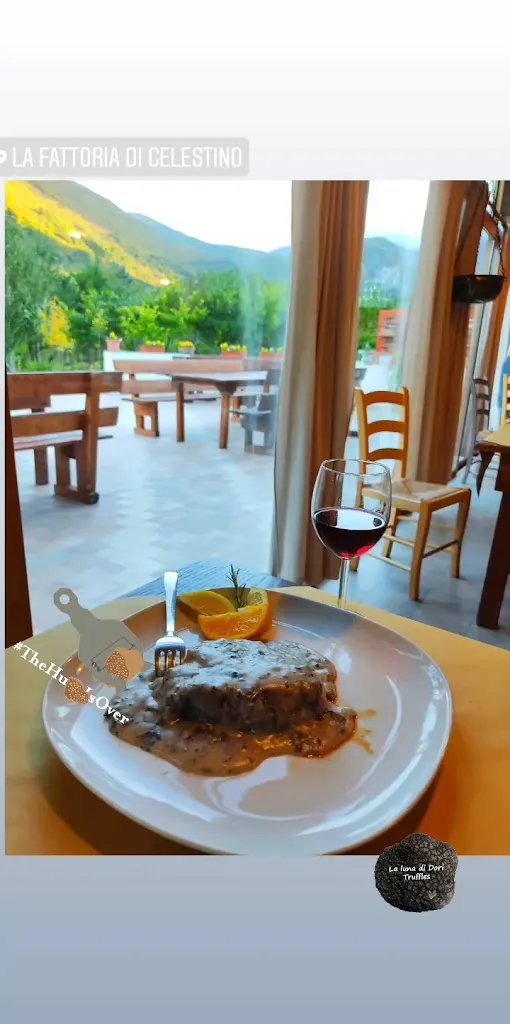 La Fattoria Da Celestino_Acqualagna_slider_image_2