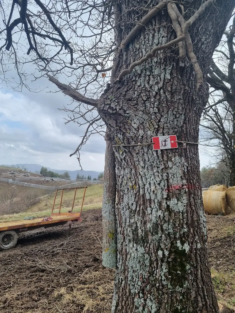 Reuma Nachmias_Rifugio Garulla_Amandola_review