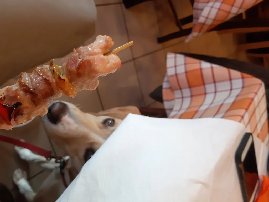 Bledar Kollcaku_Rosticceria Mare E Monti Di Sciamanna Sonia_Amandola_recensione