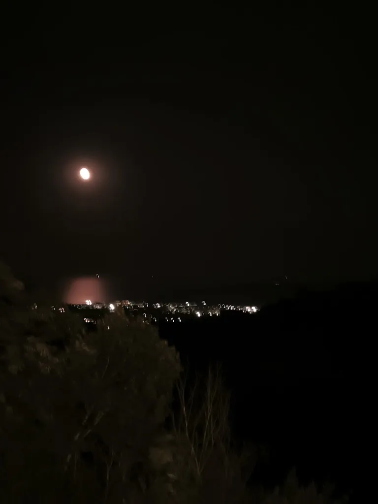 Franco Ligammari_Da Amalia_Altidona_review