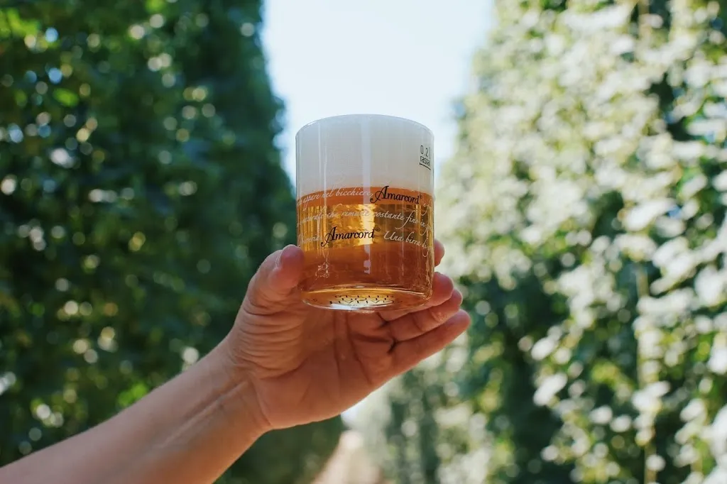 Birra Amarcord S.p.A._Apecchio_slider_image_3