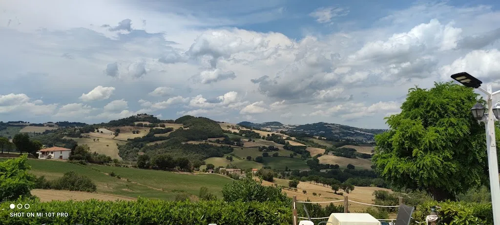 Ashley Elliott_Ristorante Pizzeria Agriturismo Piccolo Ranch_Arcevia_review