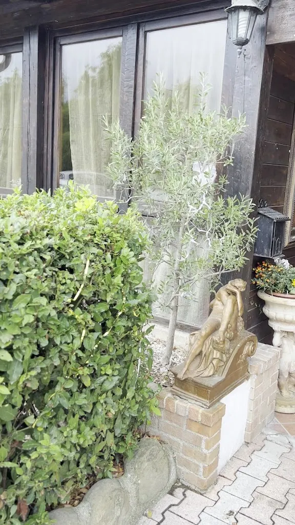 Ristorante Pizzeria Agriturismo Piccolo Ranch_Arcevia_slider_image_2