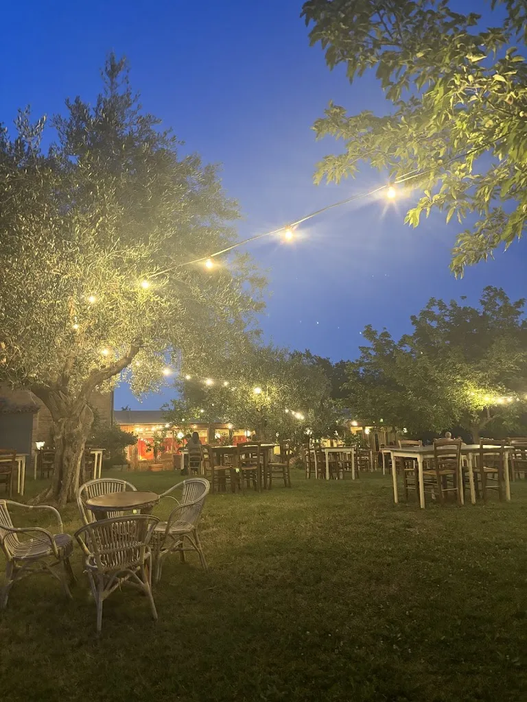 Mathias Van de Walle_Grotta Loretello_Arcevia_review