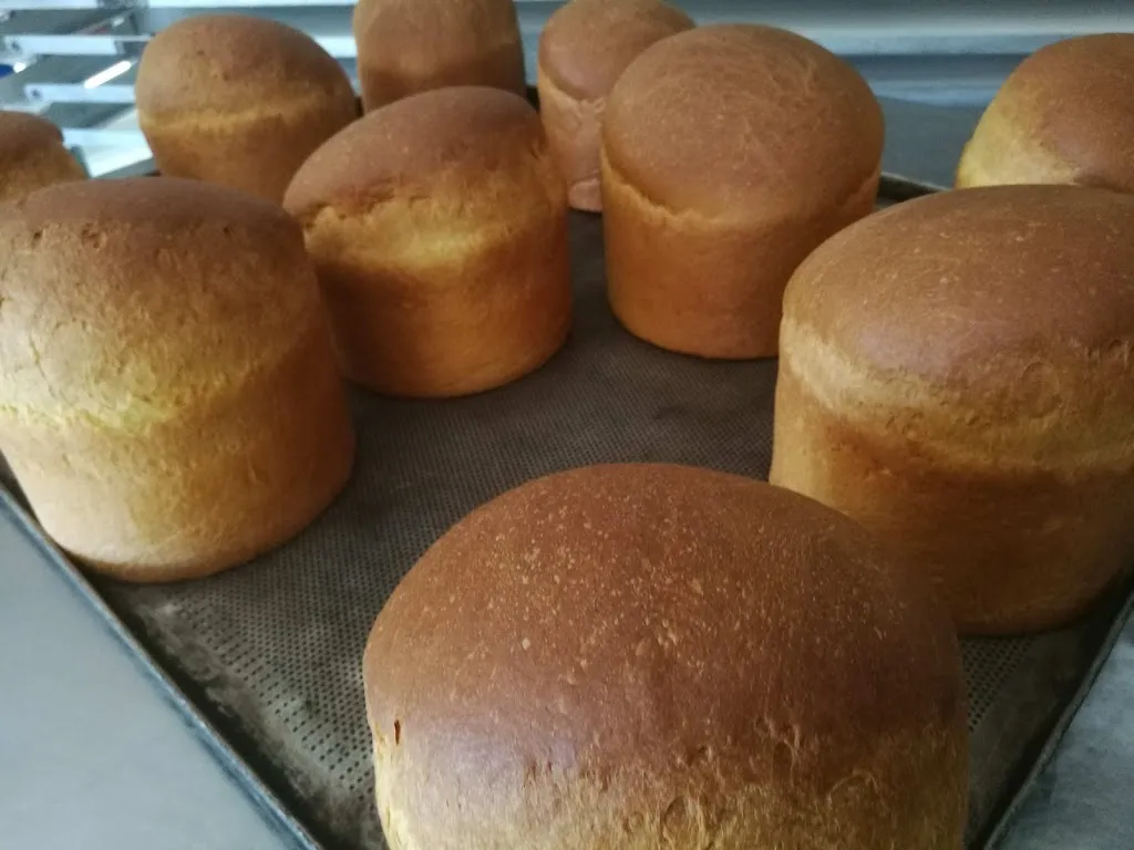 Menu_Bred di Bruscoli Daniele e C. Snc_Borgo Massano_image_2