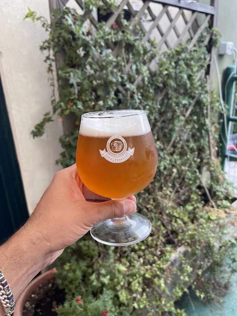 Menu_🍻 Piccolo Birrificio Agricolo Sangermano18 🍻_Camerano_image_8