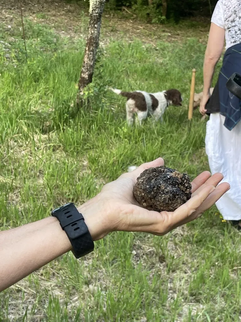 Elizabeth Morris_Agriturismo La Cerca Azienda Agricola_Cagli_review