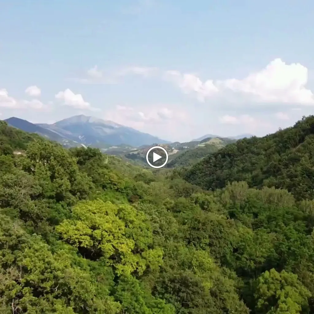 Agriturismo La Cerca Azienda Agricola_Cagli_slider_image_2