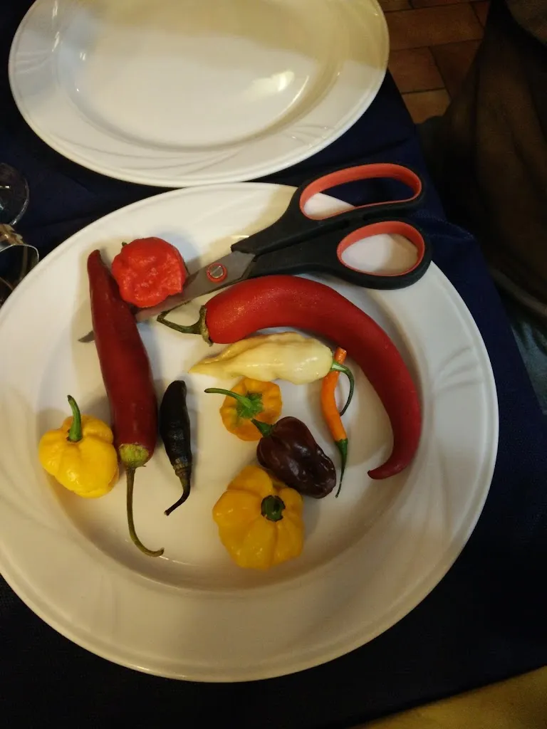 Menu_Ristorante Pizzeria Il Poggio_Cagli_image_7