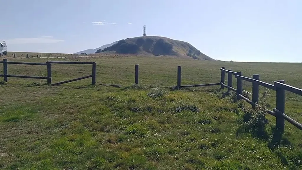 Il Grillo Parlante_Cagli_slider_image_2