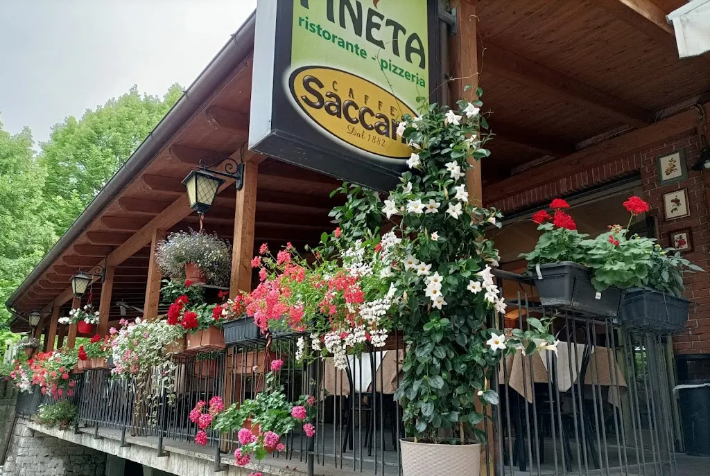 Ristorante Pizzeria Pineta Di Bianconi Giuliano restaurant in Cagli