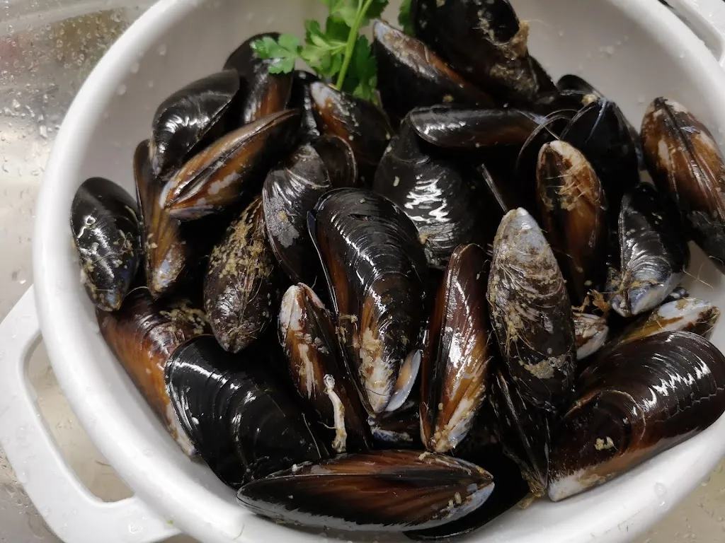 Menu_Pizzeria Ristorante Braceria Il Girasole_Cagli_immagine_5