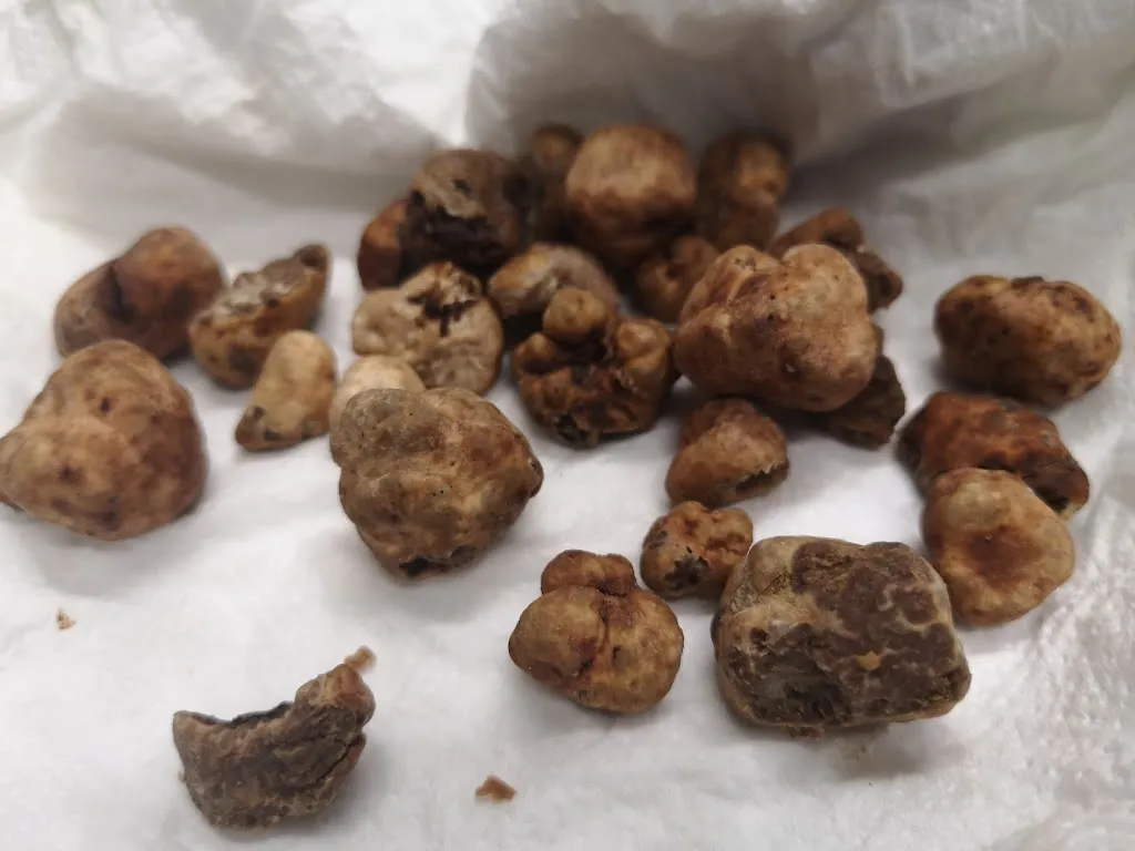 Menu_Pizzeria Ristorante Braceria Il Girasole_Cagli_immagine_6