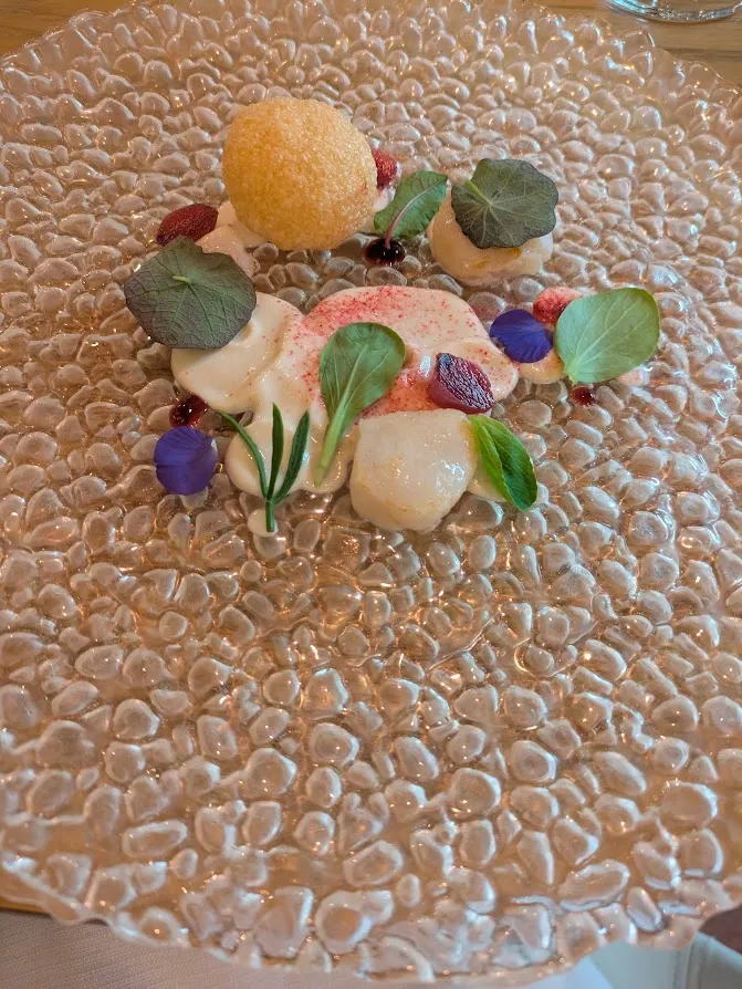 Sila_Amano_Cagli_recensione