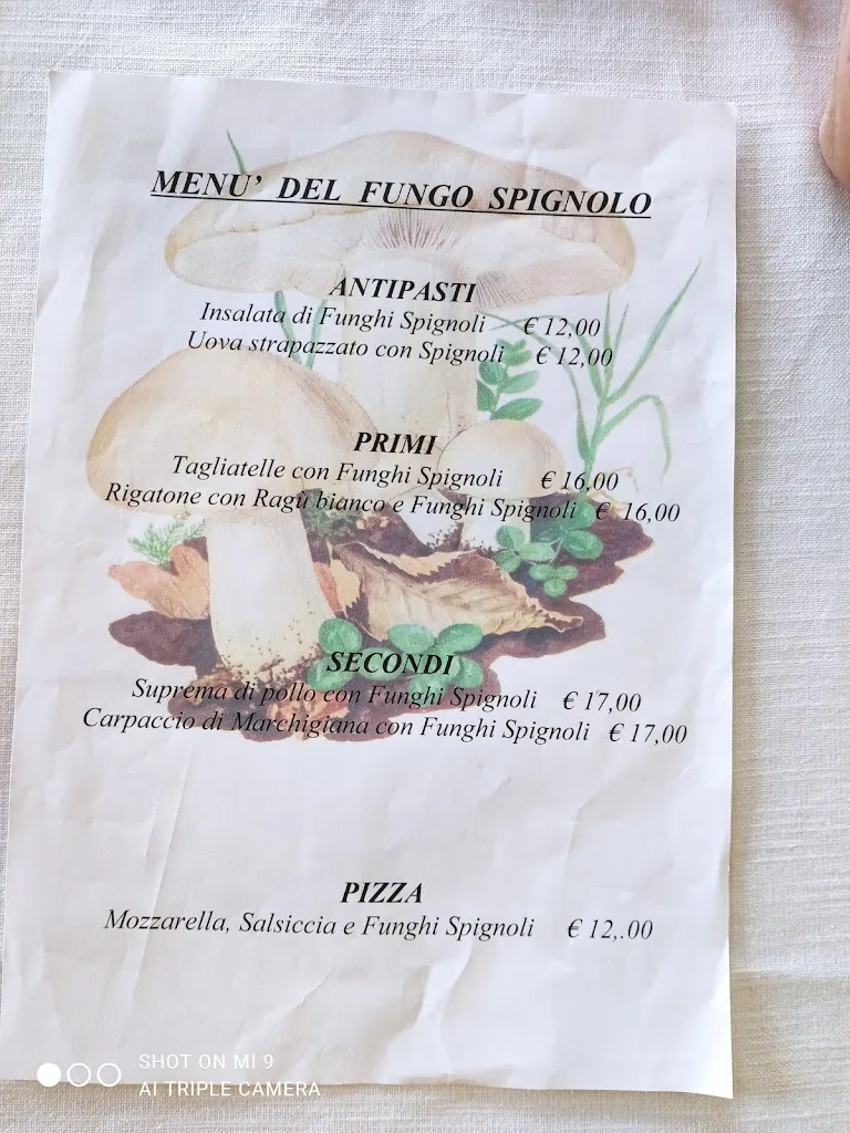 Menu_Ristorante Pizzeria Le Fontane_Cagli_image_1