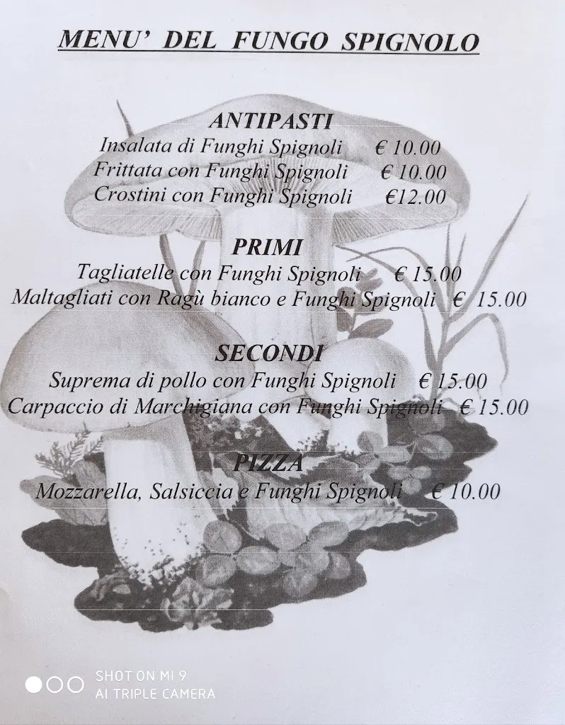 Menu_Ristorante Pizzeria Le Fontane_Cagli_image_3