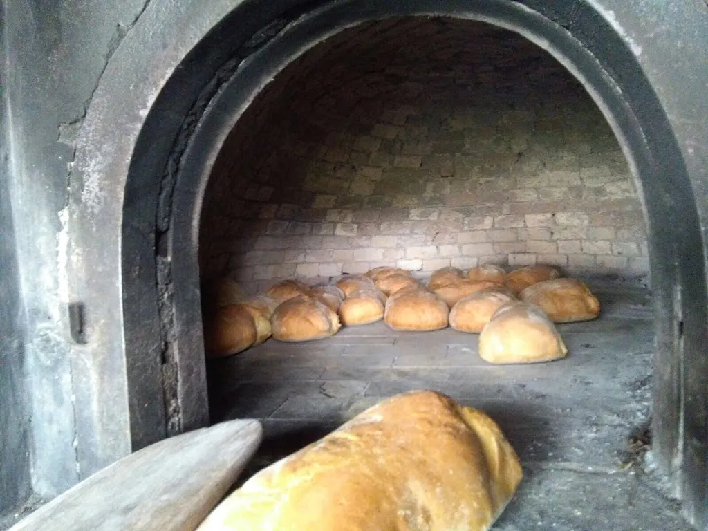 Menu_Agriturismo Campagna_Cagli_image_6