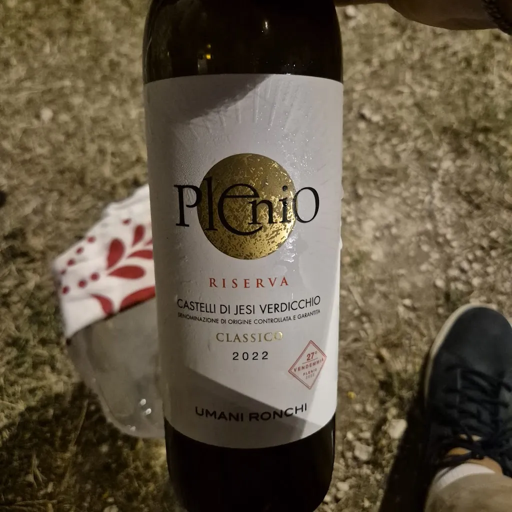 Bart Borsetti_Santa Caterina_Camerata Picena_review