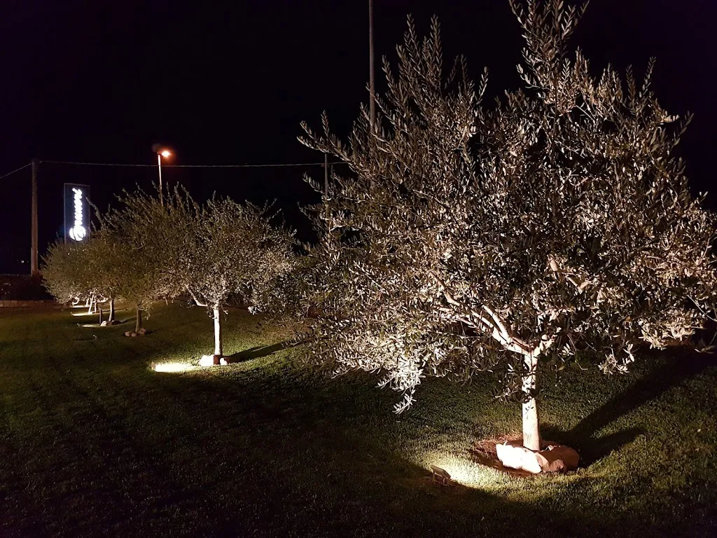 Gerrit Jan de Vries_Ristorante - Pizzeria La Tana degli Amici_Calcinelli_recensione