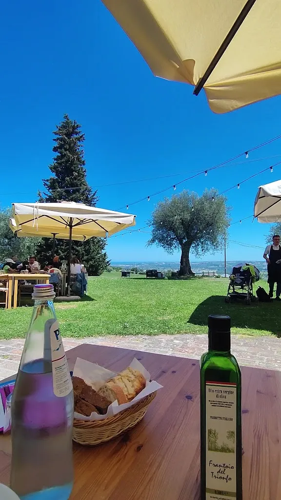 Frantoio Del Trionfo_Calcinelli_slider_image_2