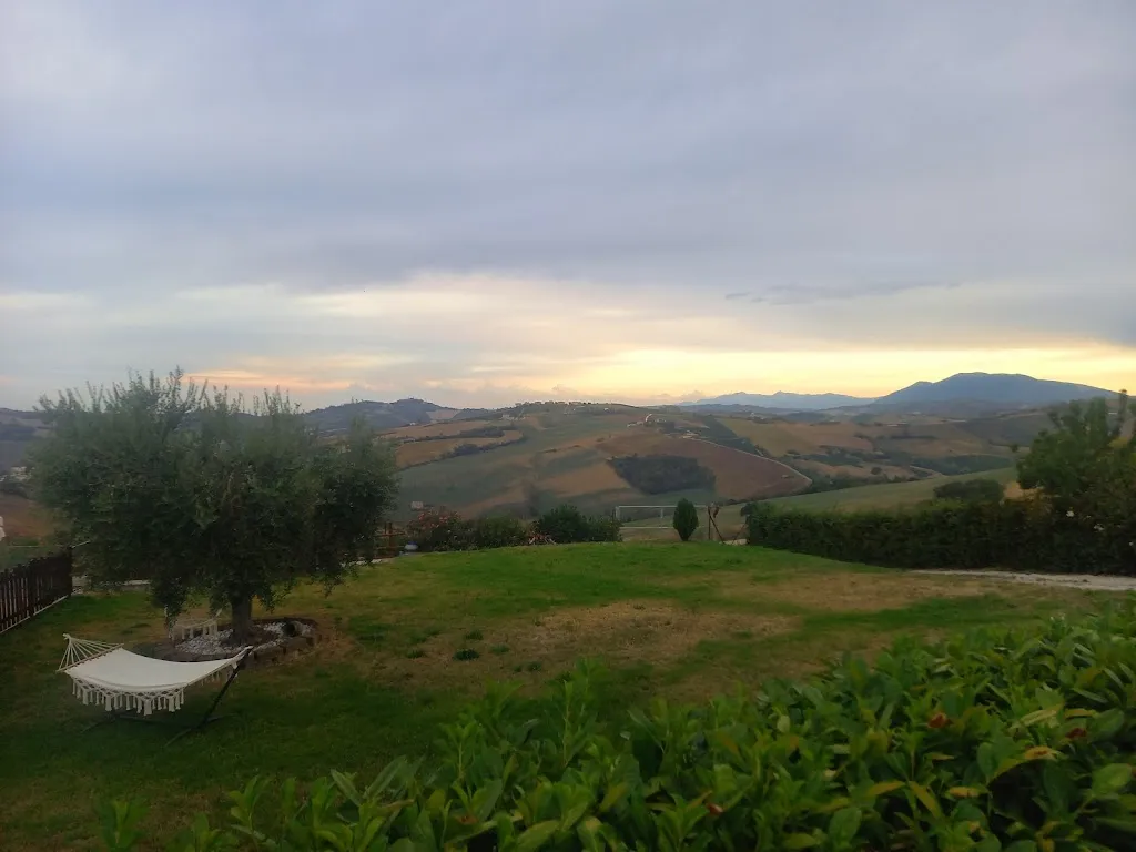 Hanneke Mensink_La Rosa e La Viola_Carassai_review