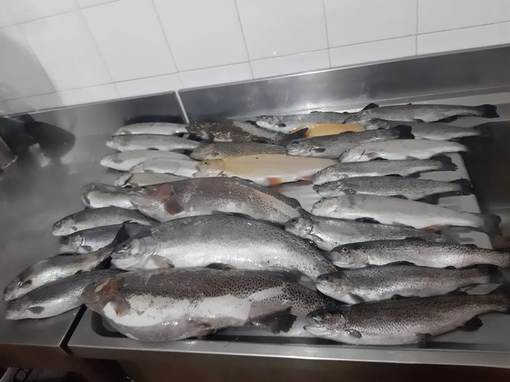 Menu_Il Laghetto_Cantiano_image_3