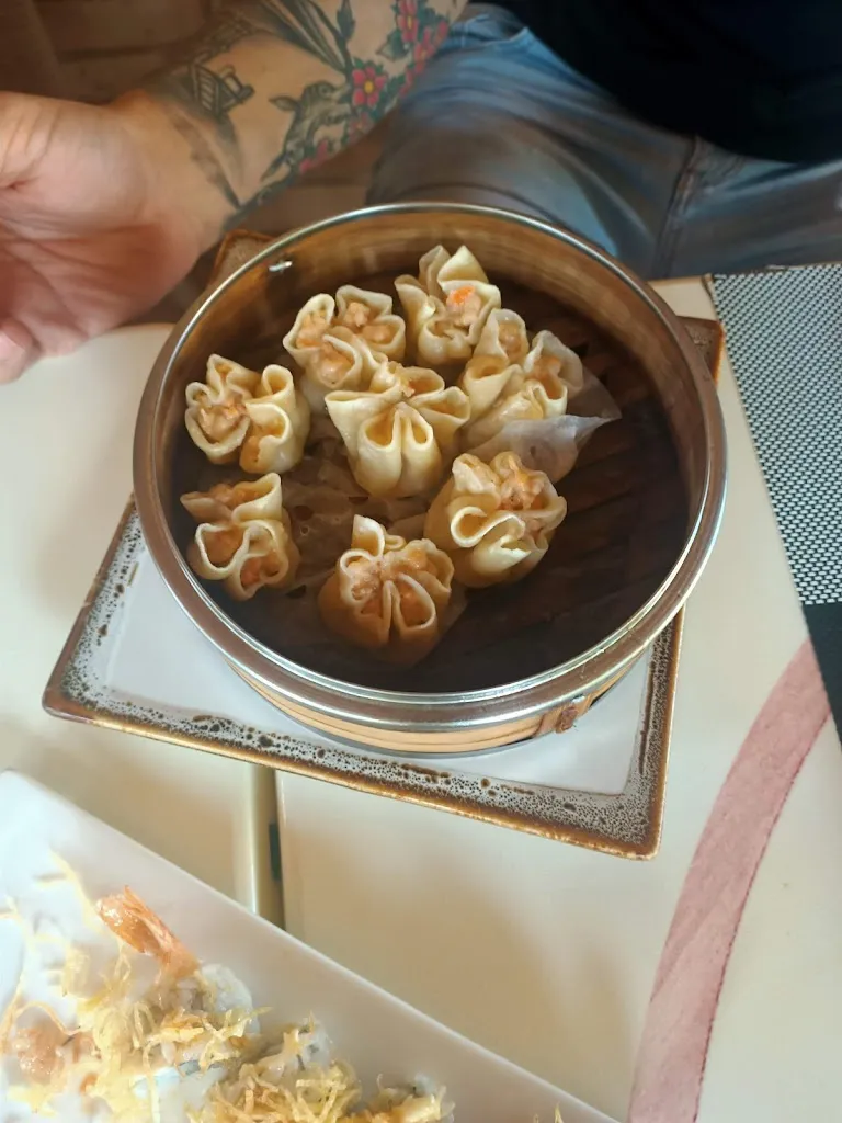 bascir al zein_Sushi Più – Ristorante Giapponese e Cinese_Casette Verdini_recensione