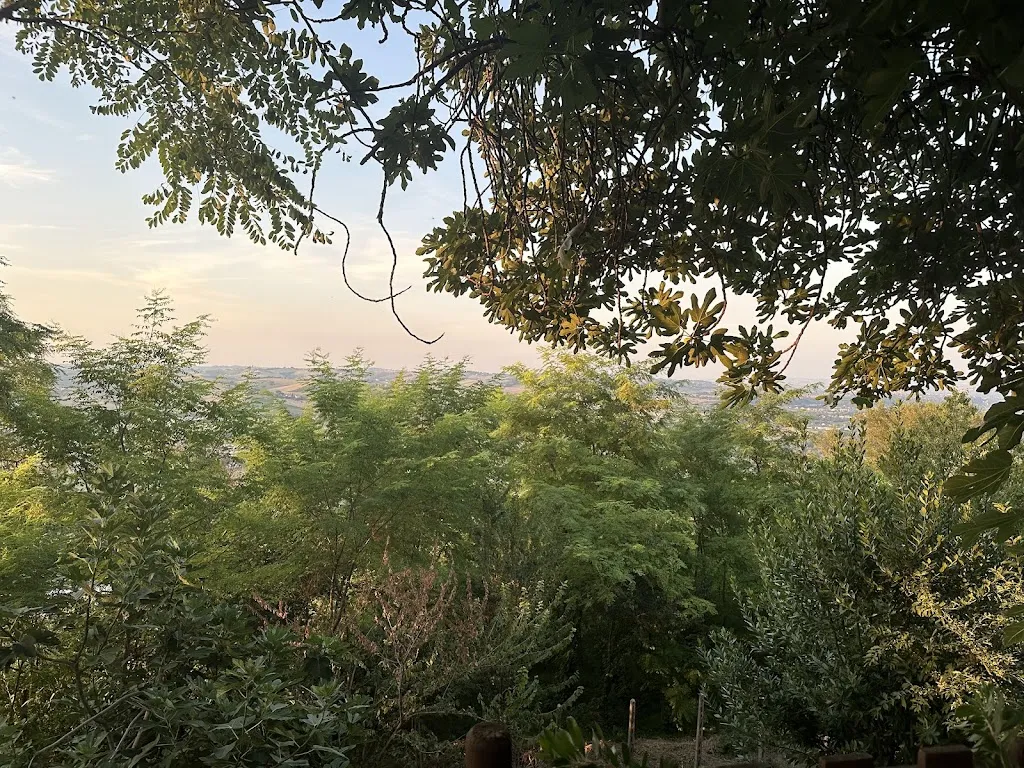 Arielle Z_Tamburo Battente Osteria_Castelbellino_review